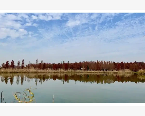 儿童脾胃健康：解决便秘难题的科学方法
